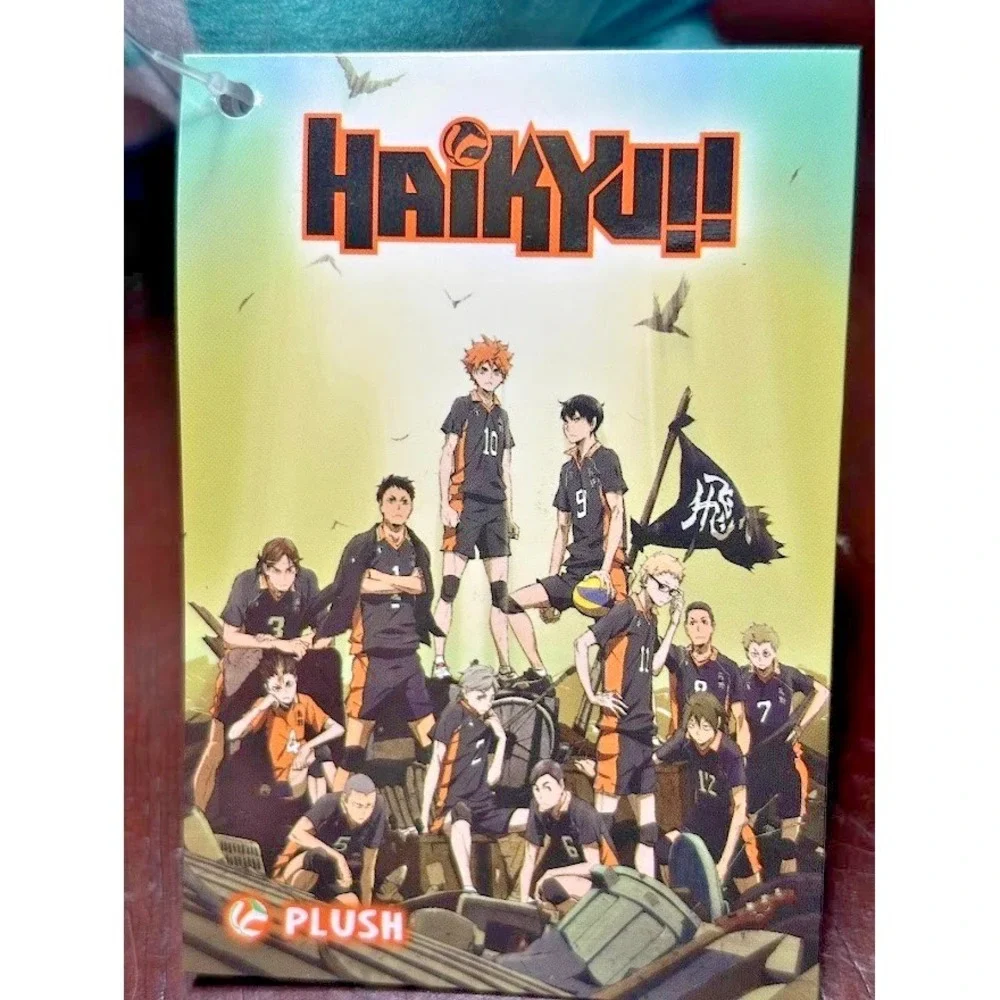 Haikyuu!! 7'' Iwaizumi Sitting Season‎ 2 Plush Doll Anime Manga NEW